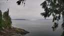 ./images/koeye/fitz-hugh/20260719/fitz-hugh20260719_094502M.jpg