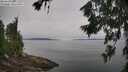 ./images/koeye/fitz-hugh/20260719/fitz-hugh20260719_100501M.jpg