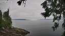 ./images/koeye/fitz-hugh/20260719/fitz-hugh20260719_104501M.jpg