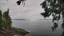 ./images/koeye/fitz-hugh/20260719/fitz-hugh20260719_105502M.jpg