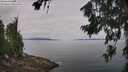 ./images/koeye/fitz-hugh/20260719/fitz-hugh20260719_112002M.jpg