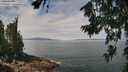 ./images/koeye/fitz-hugh/20260719/fitz-hugh20260719_120002M.jpg