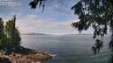 ./images/koeye/fitz-hugh/20260719/fitz-hugh20260719_120501M.jpg