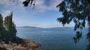 ./images/koeye/fitz-hugh/20260719/fitz-hugh20260719_122002M.jpg