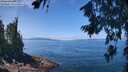 ./images/koeye/fitz-hugh/20260719/fitz-hugh20260719_122501M.jpg