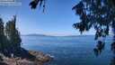 ./images/koeye/fitz-hugh/20260719/fitz-hugh20260719_123501M.jpg