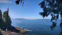 ./images/koeye/fitz-hugh/20260719/fitz-hugh20260719_124001M.jpg