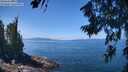 ./images/koeye/fitz-hugh/20260719/fitz-hugh20260719_124501M.jpg