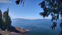 ./images/koeye/fitz-hugh/20260719/fitz-hugh20260719_125002M.jpg
