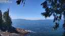 ./images/koeye/fitz-hugh/20260719/fitz-hugh20260719_125501M.jpg