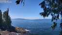 ./images/koeye/fitz-hugh/20260719/fitz-hugh20260719_130001M.jpg