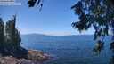 ./images/koeye/fitz-hugh/20260719/fitz-hugh20260719_131001M.jpg