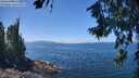 ./images/koeye/fitz-hugh/20260719/fitz-hugh20260719_131501M.jpg