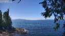 ./images/koeye/fitz-hugh/20260719/fitz-hugh20260719_132501M.jpg