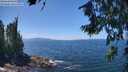 ./images/koeye/fitz-hugh/20260719/fitz-hugh20260719_133002M.jpg