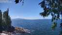 ./images/koeye/fitz-hugh/20260719/fitz-hugh20260719_133501M.jpg