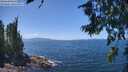 ./images/koeye/fitz-hugh/20260719/fitz-hugh20260719_134001M.jpg
