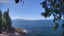 ./images/koeye/fitz-hugh/20260719/fitz-hugh20260719_134501M.jpg