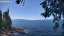 ./images/koeye/fitz-hugh/20260719/fitz-hugh20260719_135001M.jpg