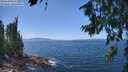 ./images/koeye/fitz-hugh/20260719/fitz-hugh20260719_135501M.jpg