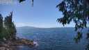./images/koeye/fitz-hugh/20260719/fitz-hugh20260719_140001M.jpg