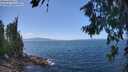 ./images/koeye/fitz-hugh/20260719/fitz-hugh20260719_140501M.jpg