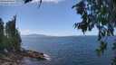 ./images/koeye/fitz-hugh/20260719/fitz-hugh20260719_141001M.jpg