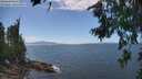 ./images/koeye/fitz-hugh/20260719/fitz-hugh20260719_141502M.jpg