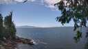 ./images/koeye/fitz-hugh/20260719/fitz-hugh20260719_142001M.jpg