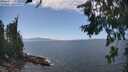 ./images/koeye/fitz-hugh/20260719/fitz-hugh20260719_142501M.jpg