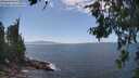 ./images/koeye/fitz-hugh/20260719/fitz-hugh20260719_143501M.jpg