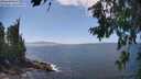 ./images/koeye/fitz-hugh/20260719/fitz-hugh20260719_144001M.jpg