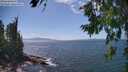 ./images/koeye/fitz-hugh/20260719/fitz-hugh20260719_145501M.jpg