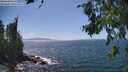 ./images/koeye/fitz-hugh/20260719/fitz-hugh20260719_150501M.jpg