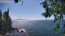 ./images/koeye/fitz-hugh/20260719/fitz-hugh20260719_152502M.jpg