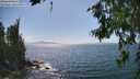 ./images/koeye/fitz-hugh/20260719/fitz-hugh20260719_154001M.jpg
