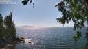 ./images/koeye/fitz-hugh/20260719/fitz-hugh20260719_154501M.jpg