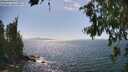 ./images/koeye/fitz-hugh/20260719/fitz-hugh20260719_155001M.jpg