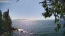 ./images/koeye/fitz-hugh/20260719/fitz-hugh20260719_155501M.jpg
