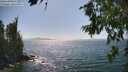 ./images/koeye/fitz-hugh/20260719/fitz-hugh20260719_160001M.jpg