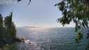 ./images/koeye/fitz-hugh/20260719/fitz-hugh20260719_160501M.jpg