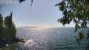 ./images/koeye/fitz-hugh/20260719/fitz-hugh20260719_161001M.jpg