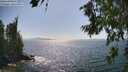 ./images/koeye/fitz-hugh/20260719/fitz-hugh20260719_161501M.jpg