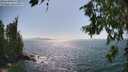 ./images/koeye/fitz-hugh/20260719/fitz-hugh20260719_162001M.jpg