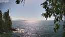 ./images/koeye/fitz-hugh/20260719/fitz-hugh20260719_163001M.jpg
