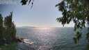 ./images/koeye/fitz-hugh/20260719/fitz-hugh20260719_163501M.jpg