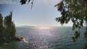./images/koeye/fitz-hugh/20260719/fitz-hugh20260719_164001M.jpg