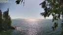 ./images/koeye/fitz-hugh/20260719/fitz-hugh20260719_164502M.jpg