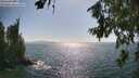 ./images/koeye/fitz-hugh/20260719/fitz-hugh20260719_165002M.jpg