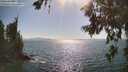 ./images/koeye/fitz-hugh/20260719/fitz-hugh20260719_170001M.jpg